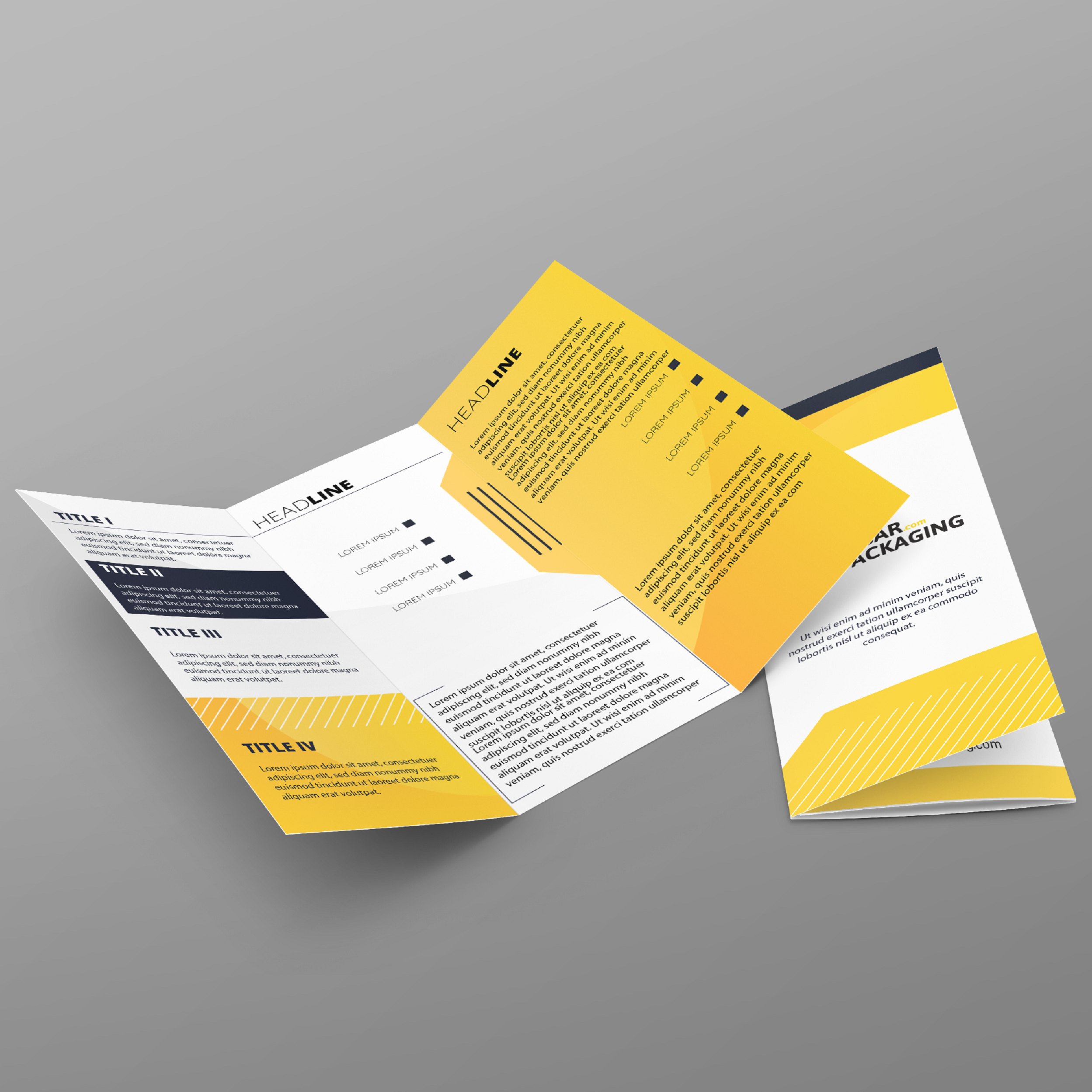 Brochure Tri-Fold - Pasar Packaging