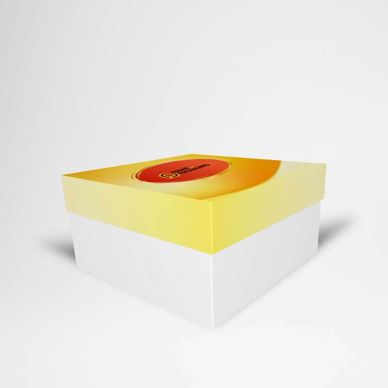 15x15x8 Snack Box with Lid - Printed - Pasar Packaging